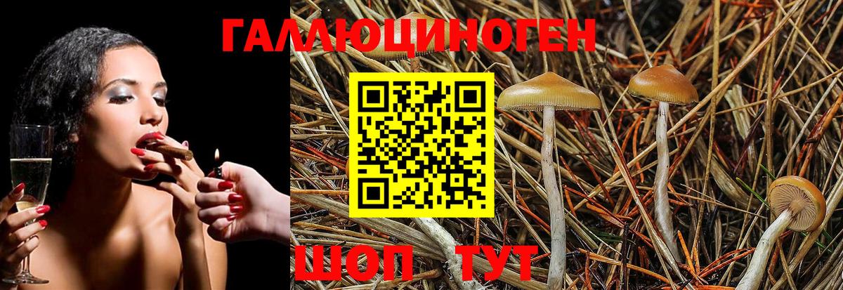 Псилоцибиновые грибы GOLDEN TEACHER Красногорск